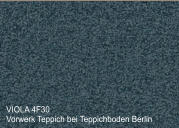 Vorwerk Teppich Viola 4F30